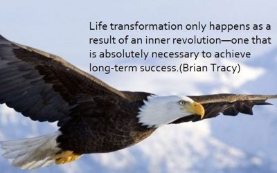 Če želimo obstati na trgu …